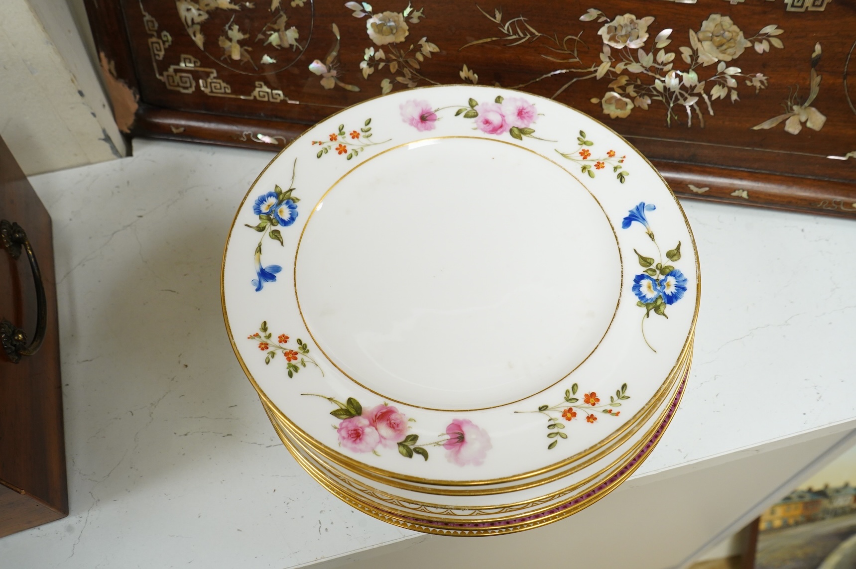 A group of nine mid 19th century Paris porcelain flower painted sample plates, 25cm in diameter